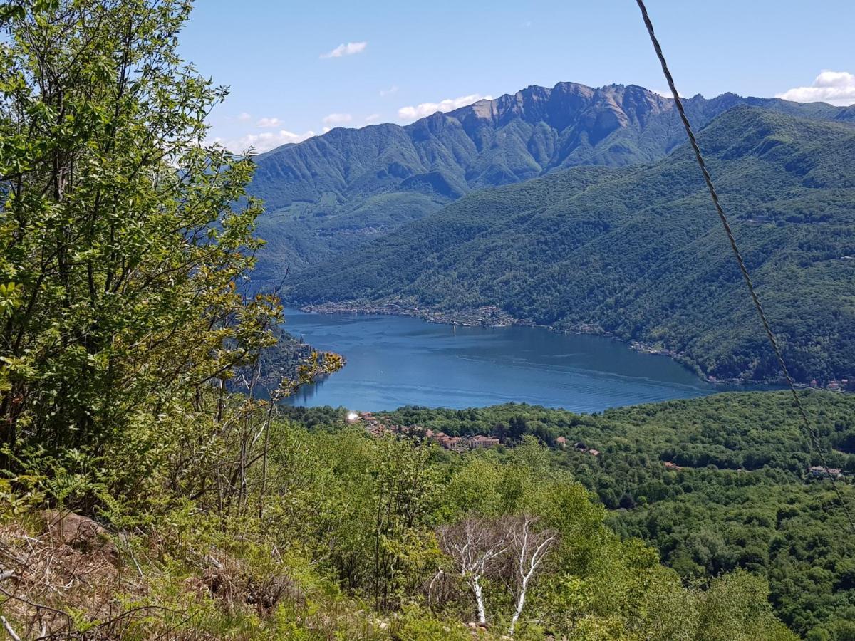 Villa Paradiso Cuasso Al Monte Dış mekan fotoğraf