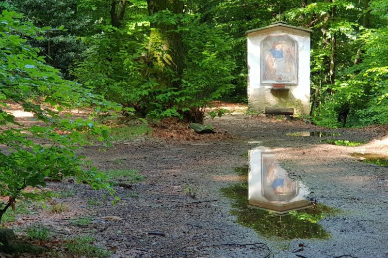 Villa Paradiso Cuasso Al Monte Dış mekan fotoğraf